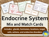 Endocrine System Mix and Match Cards