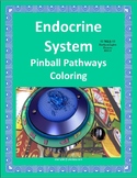 Endocrine System Pinball Pathways Coloring Worksheet