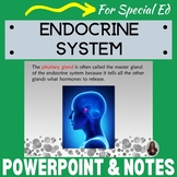 Endocrine System PowerPoint and notes for Special Education