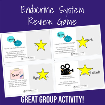 Preview of Endocrine System Review Game