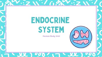 Preview of Endocrine System Slides