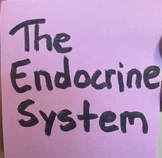 Endocrine System Song Stand Alone or Compatible w/ Classic