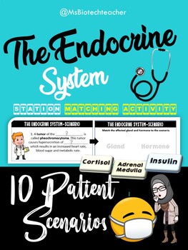 Preview of Endocrine System Matching Activity-Patient Scenario