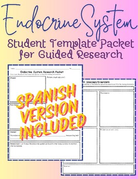 Preview of Endocrine System Student Research Worksheet Packet