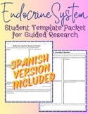 Endocrine System Student Research Worksheet Packet