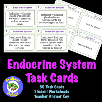 Preview of Endocrine System Task Cards: Glands and Hormones