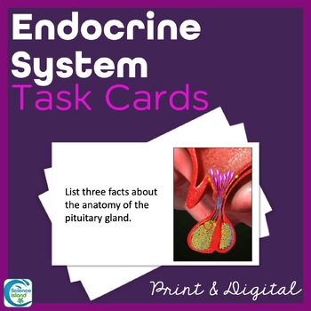 Preview of Endocrine System Task Cards - Anatomy and Physiology Activity