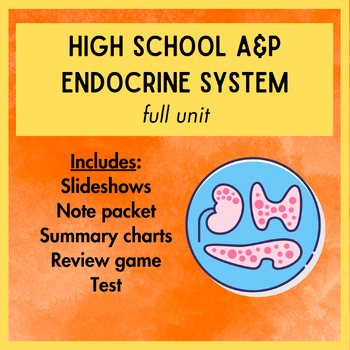 Preview of High School Anatomy & Physiology Endocrine System: Full Unit