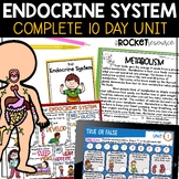 Endocrine System Unit |  Glands | Hormones | Diabetes