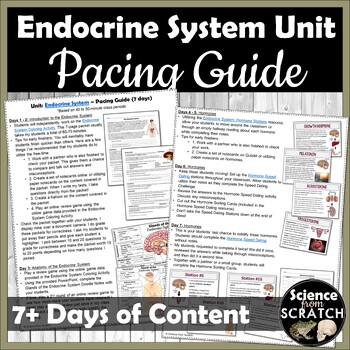 Preview of Endocrine System Unit Pacing Guide