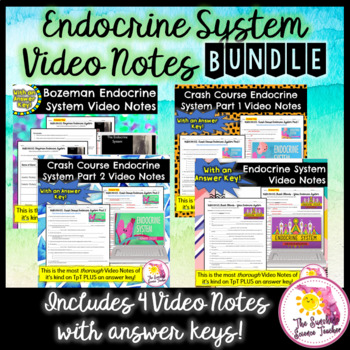 Preview of Endocrine System Video Notes Bundle | NO PREP or ACTIVE TEACHING!