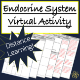 Endocrine System Virtual Activity - Distance Learning