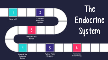 Preview of Endocrine System Webquest