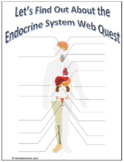 Endocrine System Webquest | Editable Digital Science Activity