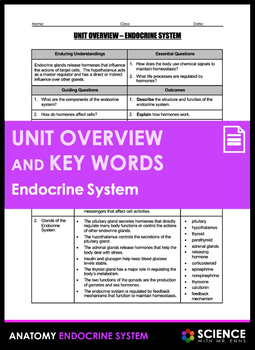 Preview of Endocrine System and Hormones Anatomy Unit Overview and Vocabulary Key Words