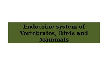 Preview of Endocrine System of Vertebrates, Birds and Mammals