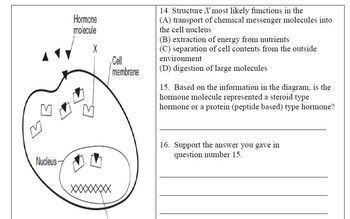 Endocrine and Feedback Mechanisms Learning Activities AP Bio (Distance  Learning)