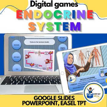 Preview of Endocrine system feedback loops comprehension +worksheet digital game 7th grade