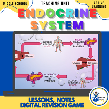 Preview of Endocrine system feedback loops worksheets, slides, digital games middle school