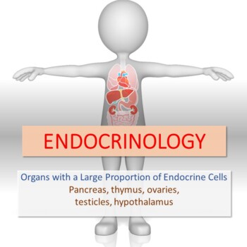 Preview of Endocrinology - Pancreas, thymus, ovaries, testis, hypothalamus
