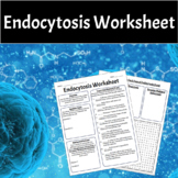 Endocytosis Worksheet