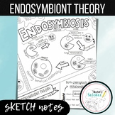 Endosymbiosis Sketch Notes (Doodle Notes/ Coloring Sheet)