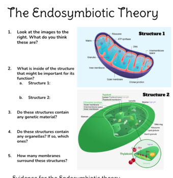 Preview of Endosymbiotic Theory CER 