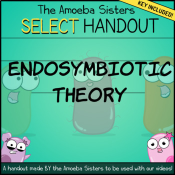 Preview of Endosymbiotic Theory- SELECT Handout + Answer Key by Amoeba Sisters
