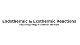 Endothermic & Exothermic Reactions Lab