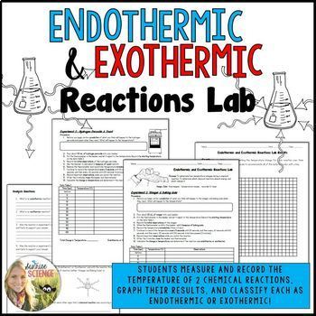 Preview of Endothermic Exothermic Reactions Lab