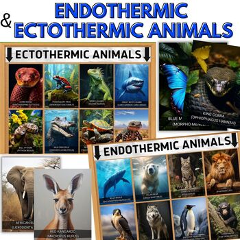 Preview of Endothermic & and Ectothermic Animals Classroom Poster Set