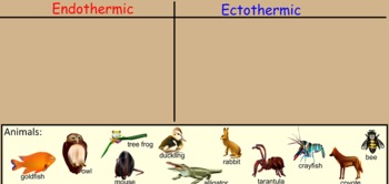 Endothermic and Ectothermic Animals Minilesson w/ SmartBoard by Melanie