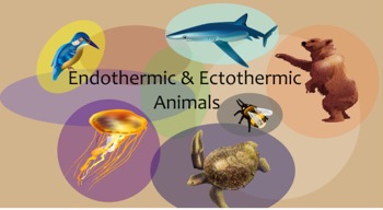 Endothermic and Ectothermic Animals Minilesson w/ SmartBoard by Melanie  Kafader