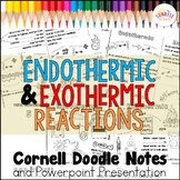 Endothermic and Exothermic Reactions Doodle Notes | Middle