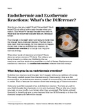 Endothermic and Exothermic Reactions: What’s the Difference?