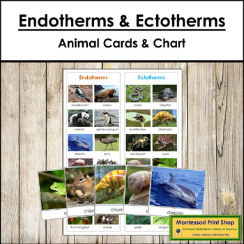 Endothermic & Ectothermic Animals - Sorting Cards & Control Chart