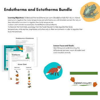 Preview of Endotherms and Ectotherms Bundle