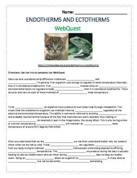 Endotherms and Ectotherms WebQuest by Stokes' Scholars | TPT