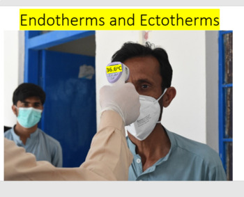 Endotherms vs Ectoterms by Iurii Galadzhun | Teachers Pay Teachers