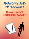 Endocrine System Video Viewing Guide (Bozeman YT video)