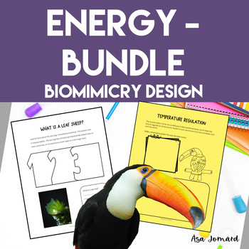 Preview of Energy Project Bundle | Nonfiction | Biomimicry  Design Activities | STEAM