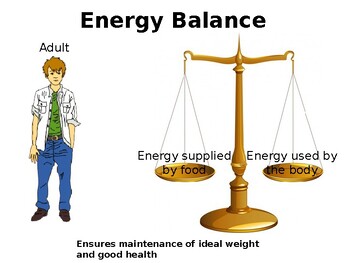 Preview of Energy Balance classroom presentation