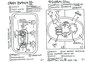 Preview of Energy Coloring Sheet