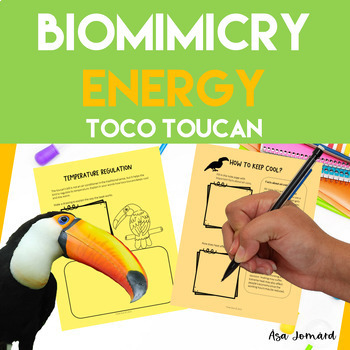 Preview of Energy Cooling Buildings Project | Nonfiction | Toco Toucan | Nature | NGSS
