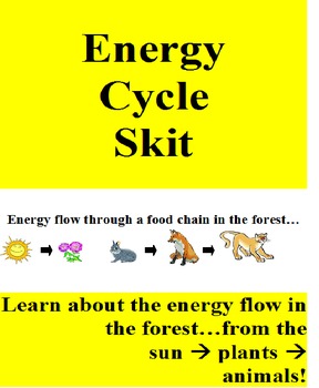 Preview of Energy Cycles in the Forest: plants and animals