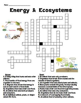 Preview of Energy & Ecosystems Crossword Puzzle