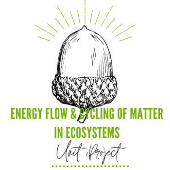 Preview of Energy Flow & Cycling of Matter in Ecosystems Unit Project