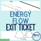 Energy Flow Exit Ticket (Exit Slip)-Mini Assessment-Quiz