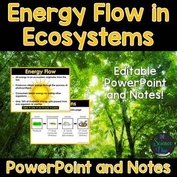 Preview of Energy Flow In Ecosystems PowerPoint and Notes