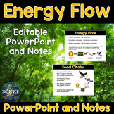 Energy Flow - PowerPoint and Notes